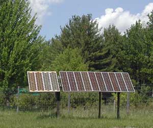 solar array