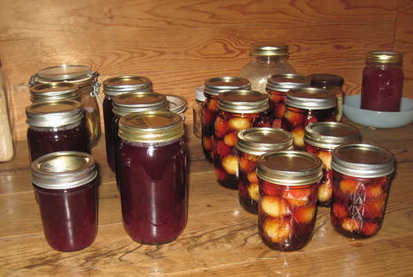 spiced crabapples and grape juice