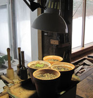 photo pot herbs under light