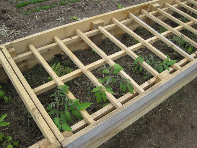 How To Ripen Or Dry Garden Vegetables With A DIY 2x4 Harvest Rack!