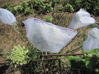 carrot flower bag