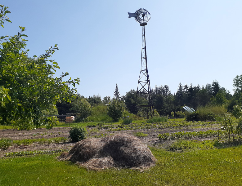hay pile by garden