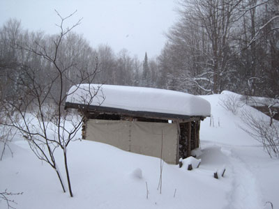 woodshed in snow