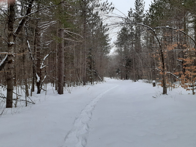 Ashford Lake Pathway