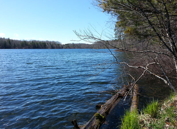 Moccasin Lake on hwy 13 and Bruno's Run