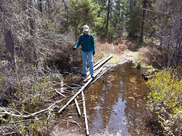 crossing wet trail on Bru no's Run