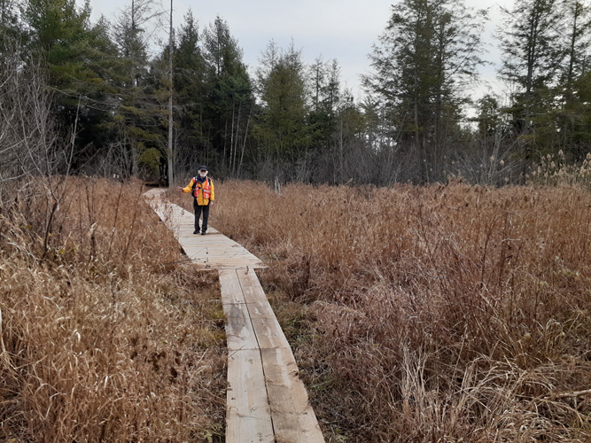 boardwalk on the Escanaba NMT Pathway