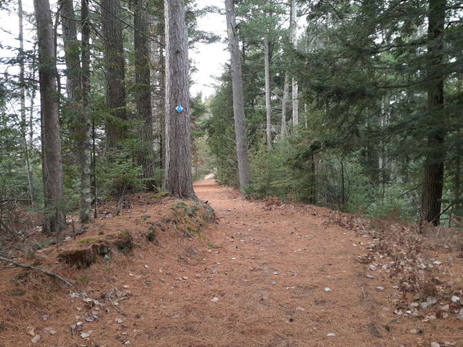 ridge trail on Loop1 Escanaba Pathway