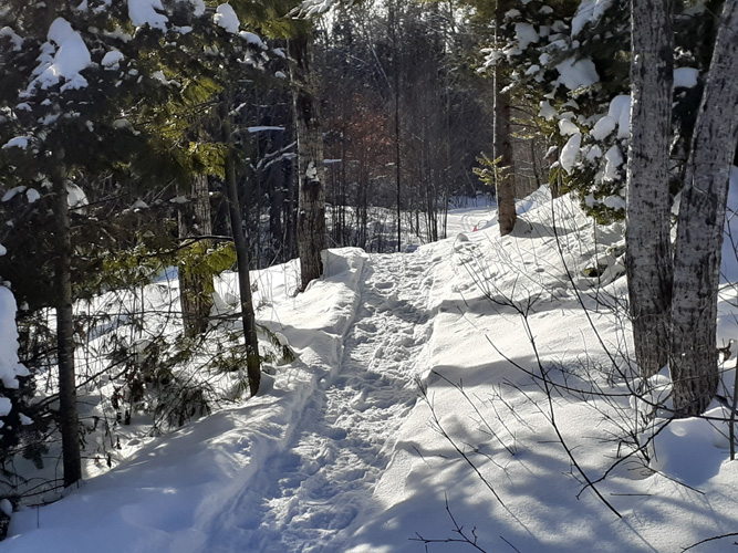 Escanaba Pathway Snowshoe Trail January 2022