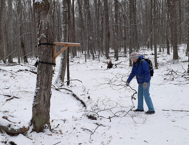 lantern holder and picking up branches at Fayette