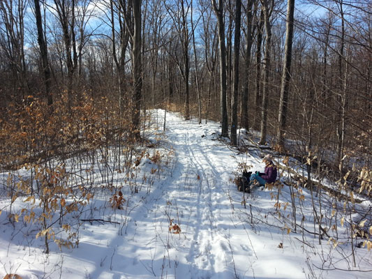 Indian Lake Pathway Loop3 February