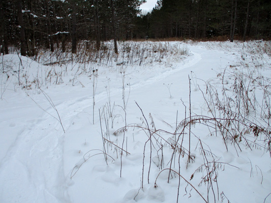 north trail in the snow