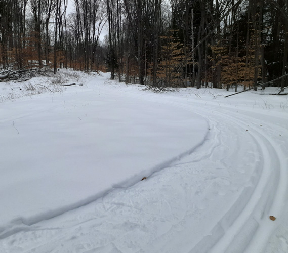 McKeeever Hills A Loop large curve