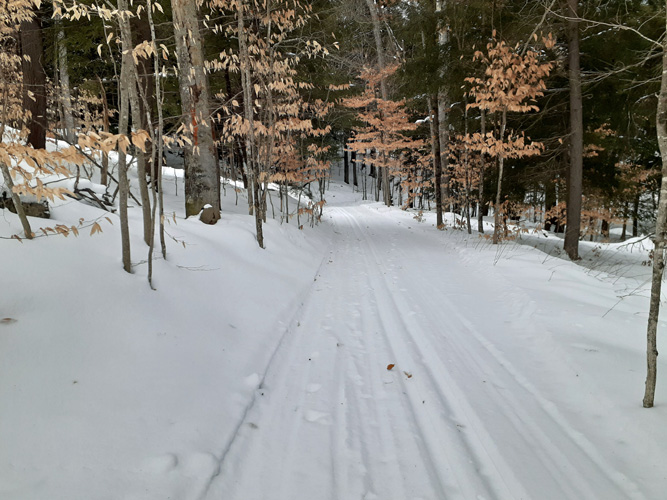 McKeever Hills trail in snow Jan. 17