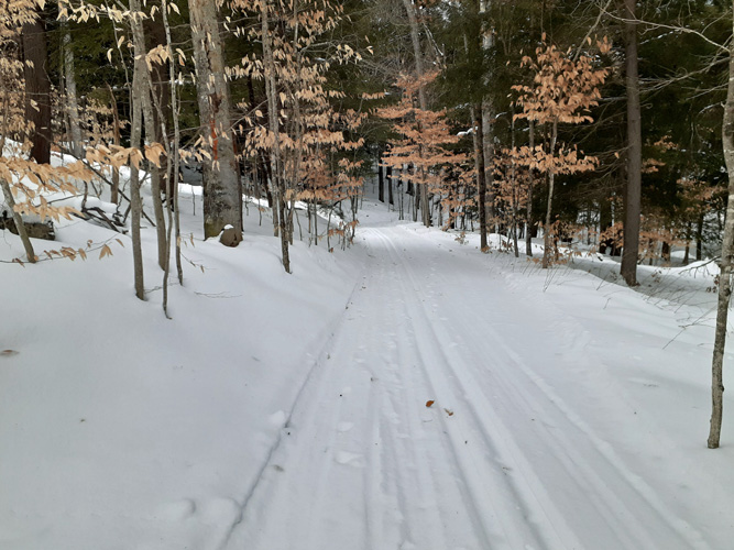 McKeever Hills trail Jan 17