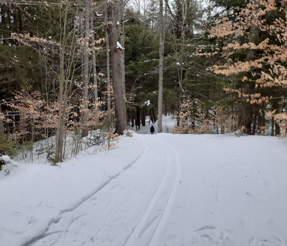 McKeever Hills A Loop hill Jan. 17