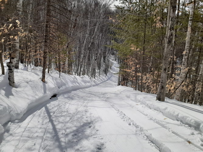 McKeever Hills C Loop, downhill from bench, 3-4-22