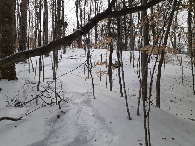 McKeever Hills off trail