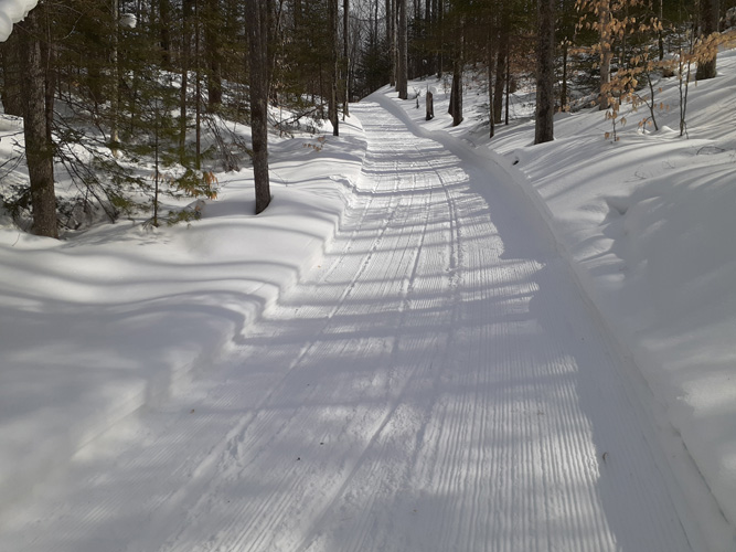 McKeever Hills C Loop uphill March 4, 2022