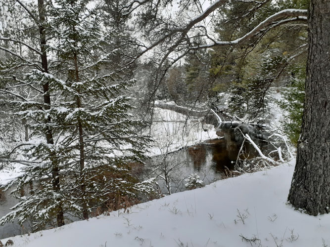 Indian River at Pine Marten Run west