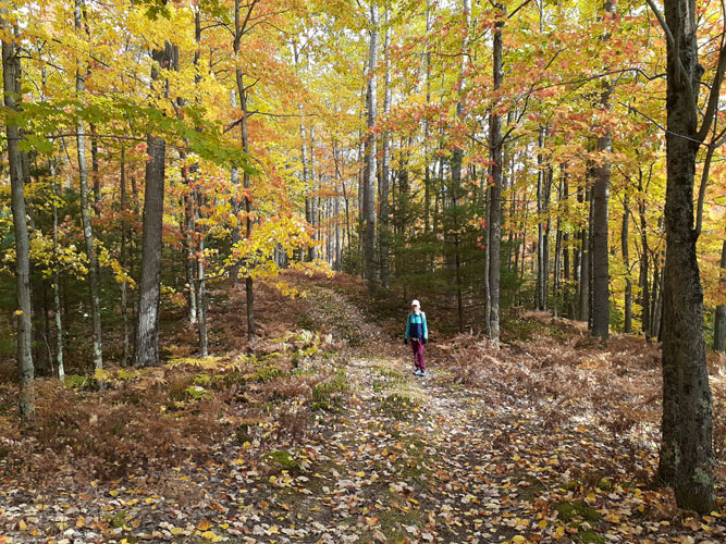 Sue on downhill of Rapid River Ski Trail October 11, 2022