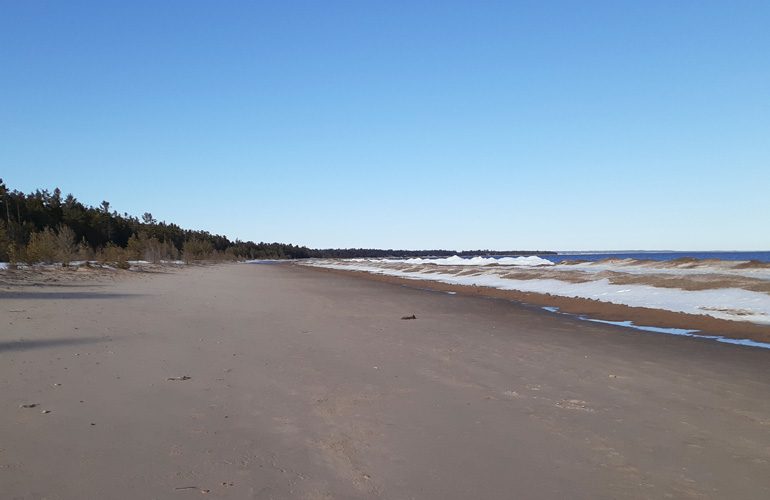 bare sand at Thompson Beach March 20, 2022