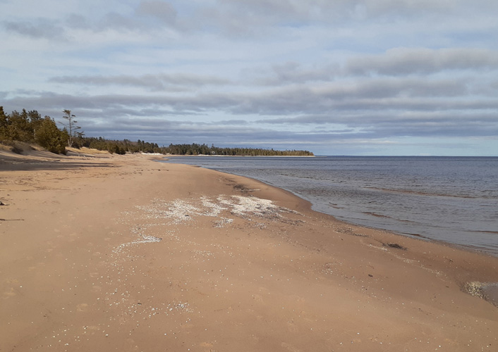 Thompson Beach May 3, 2022