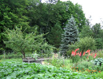 garden and orchard