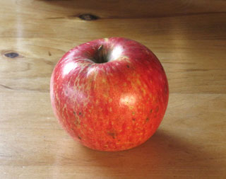 Haralson apple