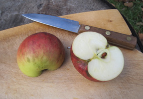 Hoholilk2 apple cut Oct 2020