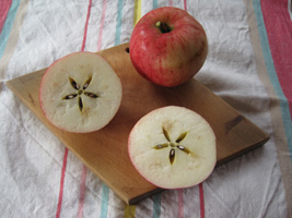 apples from Post Office tree cut