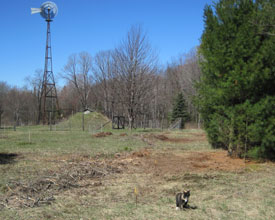 north fence line cleared