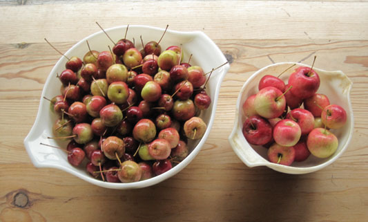 crabapples washed