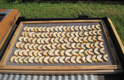pears on drying rack